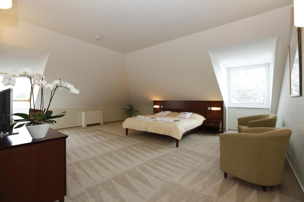Hotel Sandor Pavillon Piest'any Pokoj fotografie