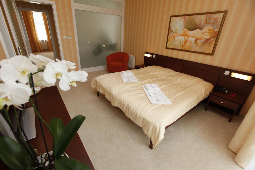 Hotel Sandor Pavillon Piest'any Pokoj fotografie